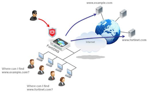 FortiDNS Deployment