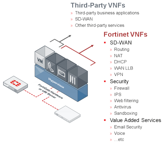 FortiHypervisor