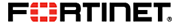 Fortinet Partner